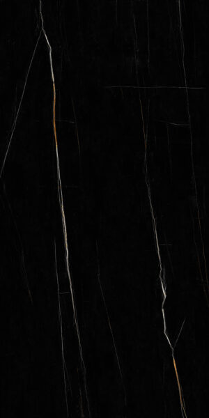 TX_SAINT LORENT NEGRO