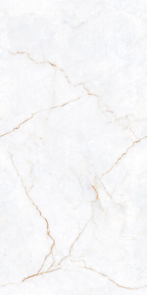 FIRRO_CLASSIC_(END LESS)