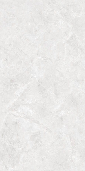 TX_REGAL ASSOS SILVER